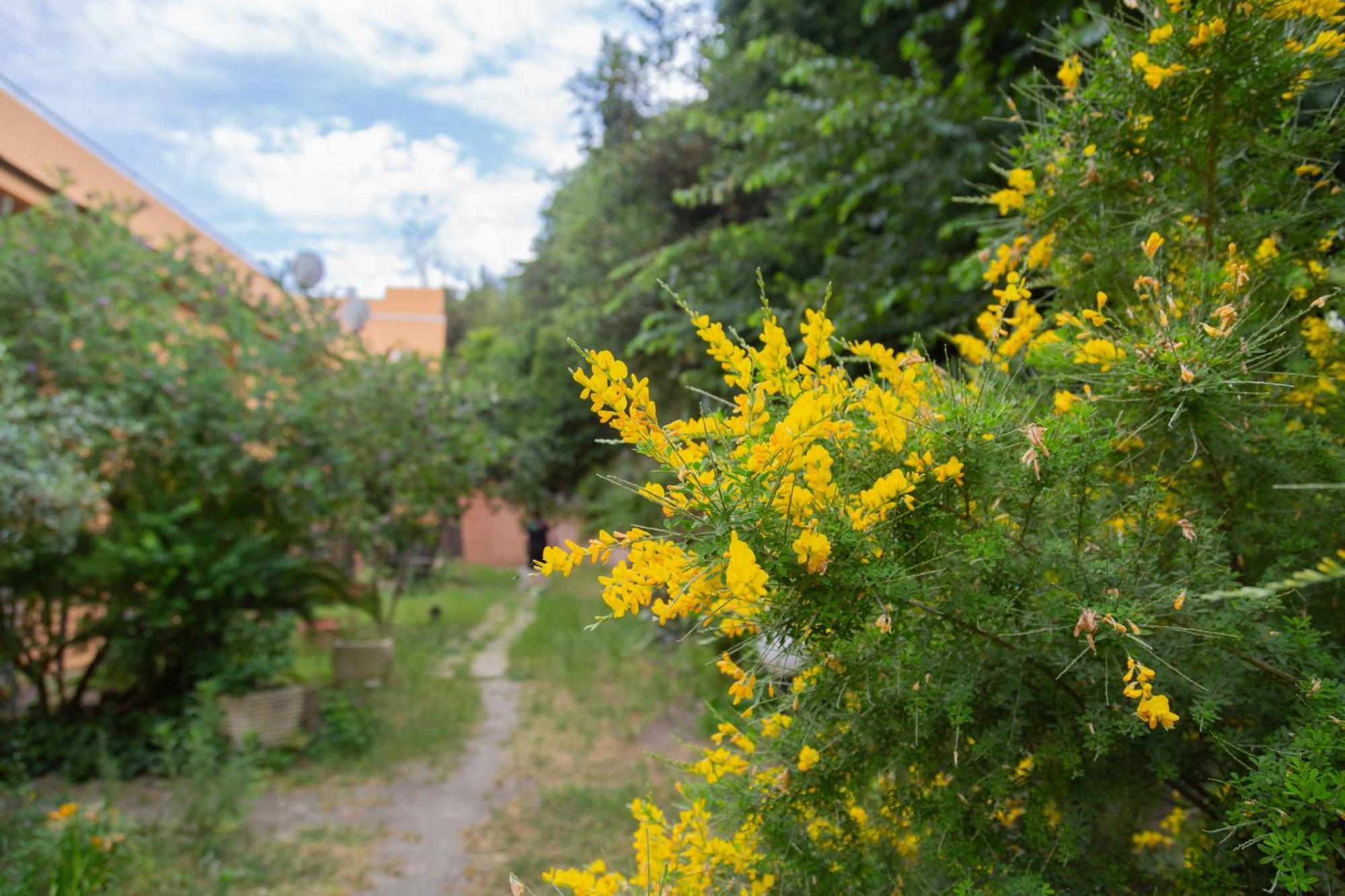 Appartement La Casa Di Nonna Peppina A Trastevere