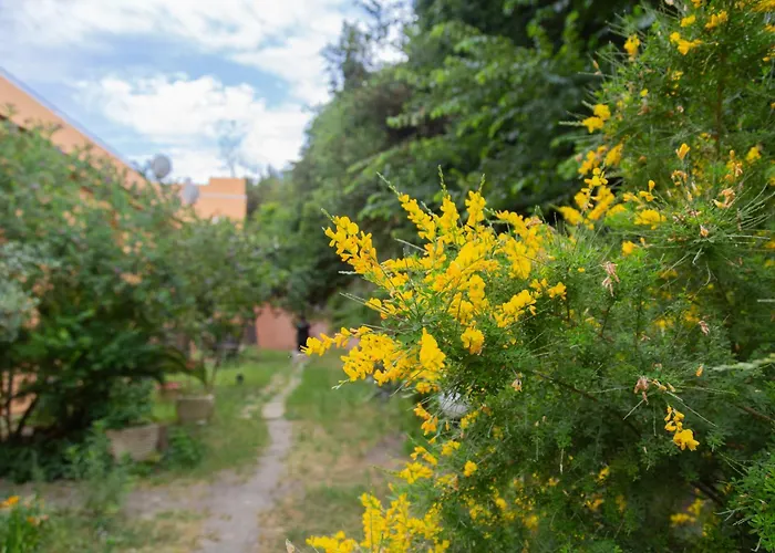 La Casa Di Nonna Peppina A Trastevere